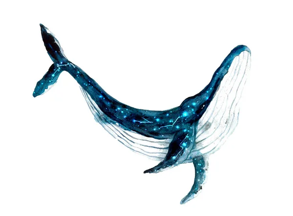 Niedlichen Aquarell Wal Mit Sternenhimmel Auf Dem Weißen Hintergrund — Stockfoto