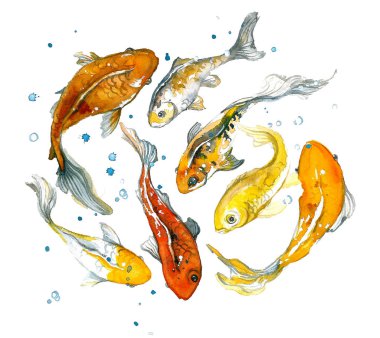 Beyaz arka planda tatlı suluboya altın balık. 