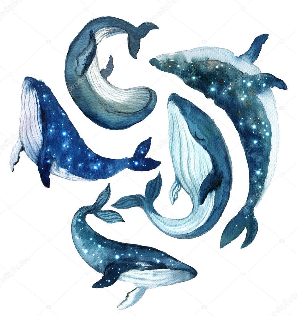 Watercolor cute beautiful whales with starry sky on the white background