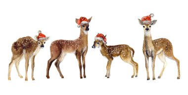 Geyikli şirin suluboya Noel kartpostalı. Suluboya Bebek Geyiği. Vahşi yaşam sanat illüstrasyonu. Kumaş, kartpostal, tebrik kartı, kitap, poster ve tişört için suluboya grafikler. İllüzyon, izolasyon nesneleri. Mutlu Noeller.!