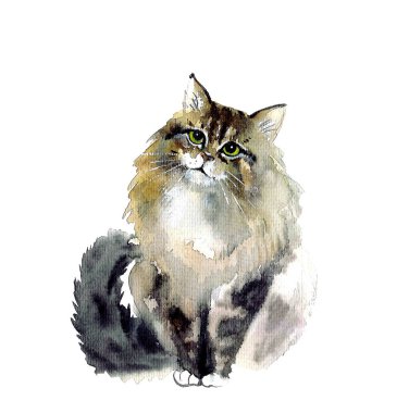 Suluboya kediler. Vahşi yaşam sanat illüstrasyonu. Kumaş, kartpostal, tebrik kartı, kitap, poster ve tişört için suluboya grafikler. Resimler, izolasyon nesneleri