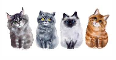Suluboya kediler. Vahşi yaşam sanat illüstrasyonu. Kumaş, kartpostal, tebrik kartı, kitap, poster ve tişört için suluboya grafikler. Resimler, izolasyon nesneleri