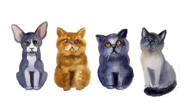 Suluboya kediler. Vahşi yaşam sanat illüstrasyonu. Kumaş, kartpostal, tebrik kartı, kitap, poster ve tişört için suluboya grafikler. Resimler, izolasyon nesneleri