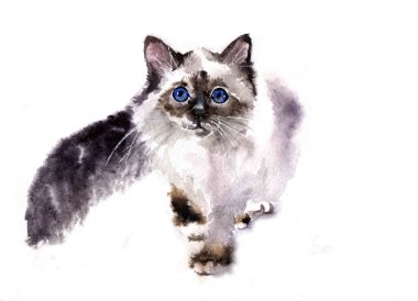 Suluboya kediler. Vahşi yaşam sanat illüstrasyonu. Kumaş, kartpostal, tebrik kartı, kitap, poster ve tişört için suluboya grafikler. Resimler, izolasyon nesneleri