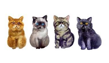 Suluboya kediler. Vahşi yaşam sanat illüstrasyonu. Kumaş, kartpostal, tebrik kartı, kitap, poster ve tişört için suluboya grafikler. Resimler, izolasyon nesneleri