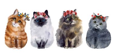 Suluboya kediler. Vahşi yaşam sanat illüstrasyonu. Kumaş, kartpostal, tebrik kartı, kitap, poster ve tişört için suluboya grafikler. Resimler, izolasyon nesneleri