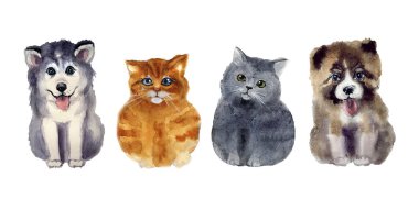 Suluboya kediler. Vahşi yaşam sanat illüstrasyonu. Kumaş, kartpostal, tebrik kartı, kitap, poster ve tişört için suluboya grafikler. Resimler, izolasyon nesneleri
