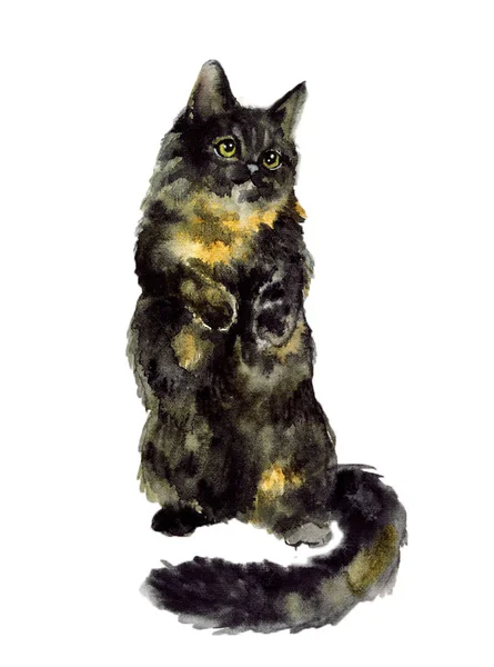 Aquarel Katten Wildlife Art Illustratie Aquarelgrafiek Voor Stof Ansichtkaart Wenskaart — Stockfoto