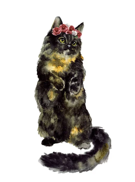 Aquarel Katten Wildlife Art Illustratie Aquarelgrafiek Voor Stof Ansichtkaart Wenskaart — Stockfoto