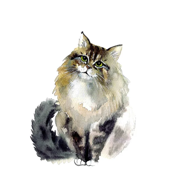 Gatos Aquáticos Ilustração Arte Vida Selvagem Gráfico Aquarela Para Tecido — Fotografia de Stock