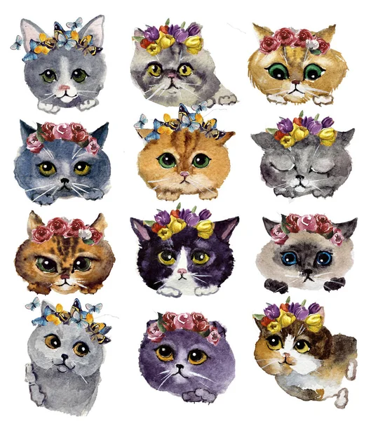 Suluboya Kediler Vahşi Yaşam Sanat Illüstrasyonu Kumaş Kartpostal Tebrik Kartı — Stok fotoğraf