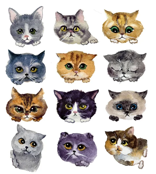 Akvarelové Kočky Umělecká Ilustrace Akvarel Textil Pohlednice Blahopřání Kniha Plakát — Stock fotografie