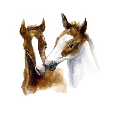 Cute watercolor horses. Horses with love and with flowers. Funny postcard clipart