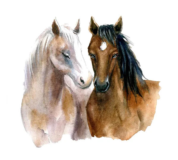 Cute watercolor horses. Horses with love and with flowers. Funny postcard