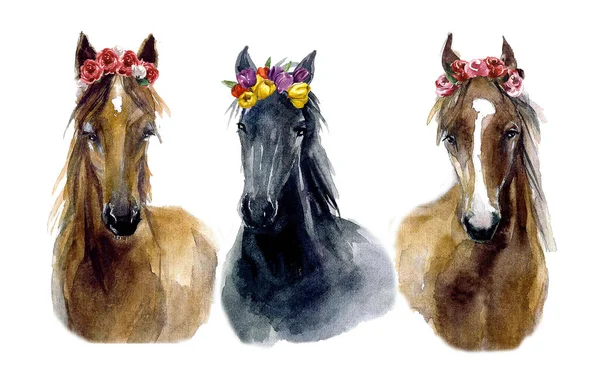 Cute Watercolor Horses Funny Лошадей Цветами — стоковое фото
