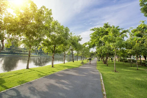 Зеленый городской общественный парк — стоковое фото
