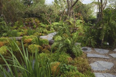  Bir eğrelti otunun üstünde taş bir duvarın üzerinde bir şelale dolusu su.