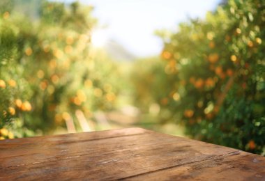 Empty wood table with free space over orange trees, orange field clipart