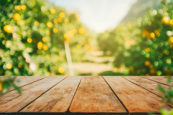 Empty Wood Table Free Space Orange Trees Orange Field Background — Stock Photo, Image