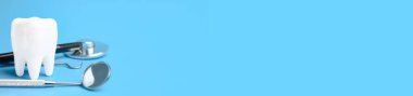 Mavi arka planda diş modeli ve dişçi ekipmanı, diş arka planının konsept görüntüsü. kopyalama alanı olan panoramik pankart