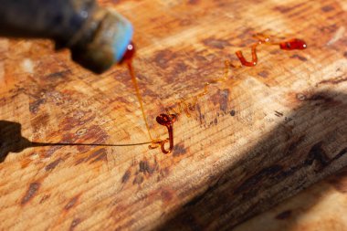 Vernik ve boyayla ahşap işleme sanatı. El yapımı, katı ahşaptan mobilya imalatı.