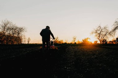 male farmer works in a field on a walk behind motoblock, plows the land with a plow at sunset. clipart