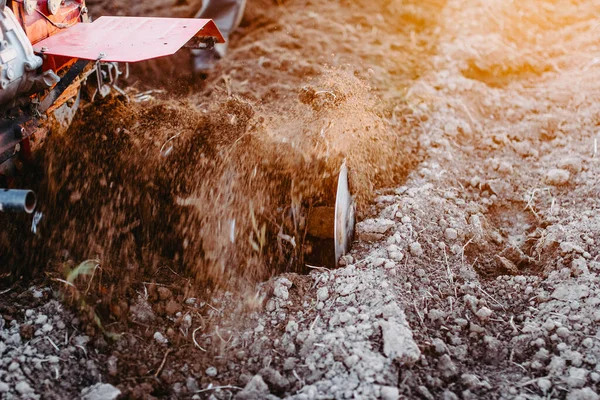 Agricoltore Maschio Con Trattore Walk Coltiva Terra Con Aratro Tramonto — Foto Stock