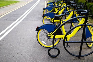 Şehir parkında kiralık sarı bisikletler..