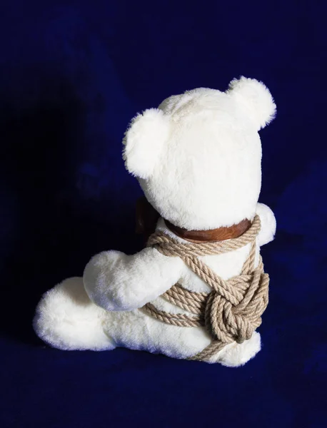 Teddybeer roped in traditionele Japaneses shibari, vastgebonden met touw, kinbaku. — Stockfoto