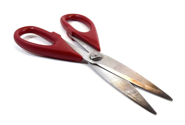 Kitchen shears with red plastic handle — Stock Photo, Image