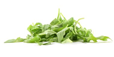 Organik roka veya roket yığını