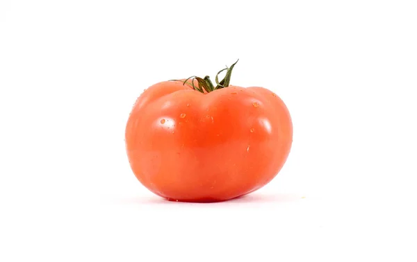 Сочный единственный органический помидор — стоковое фото