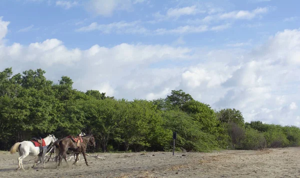 Belle plage de sable par une journée chaude et ensoleillée — Photo