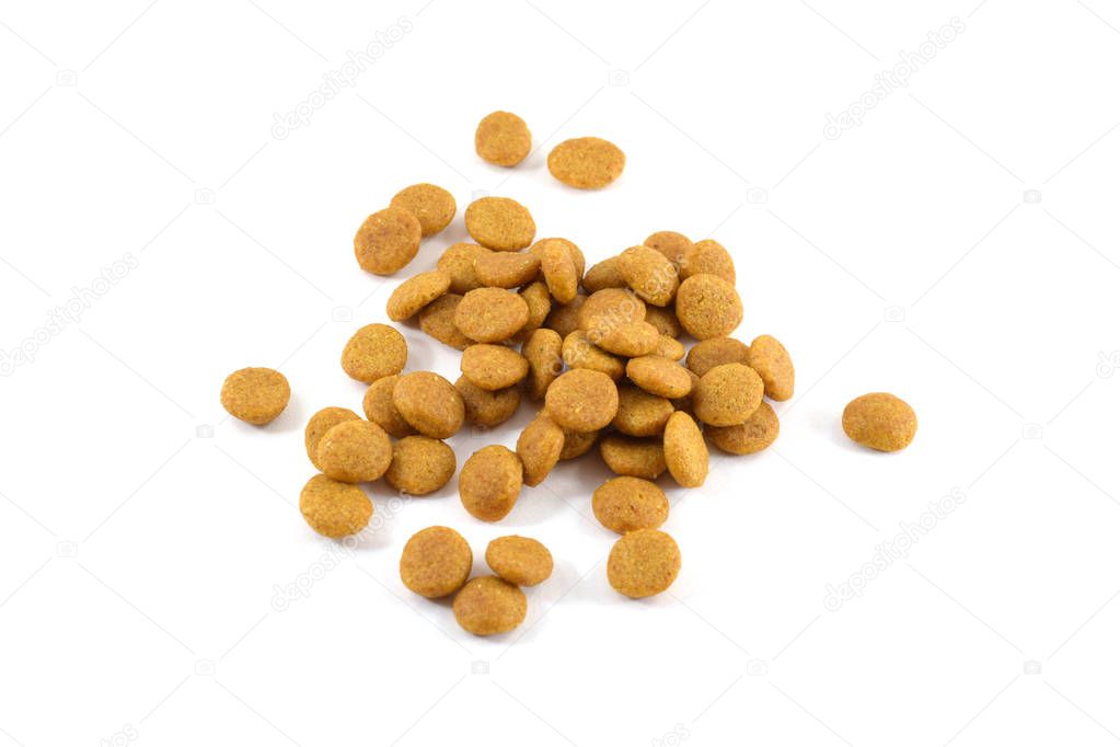 Pile of dry cat food pellets
