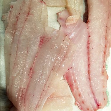 Taze çiğ vahşi yakalanan balık fileto