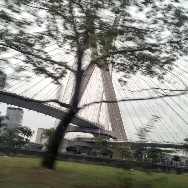 Ponte Estaiada Octavio Frias de Oliveira สะพานสายเคเบิลอยู่ — ภาพถ่ายสต็อก