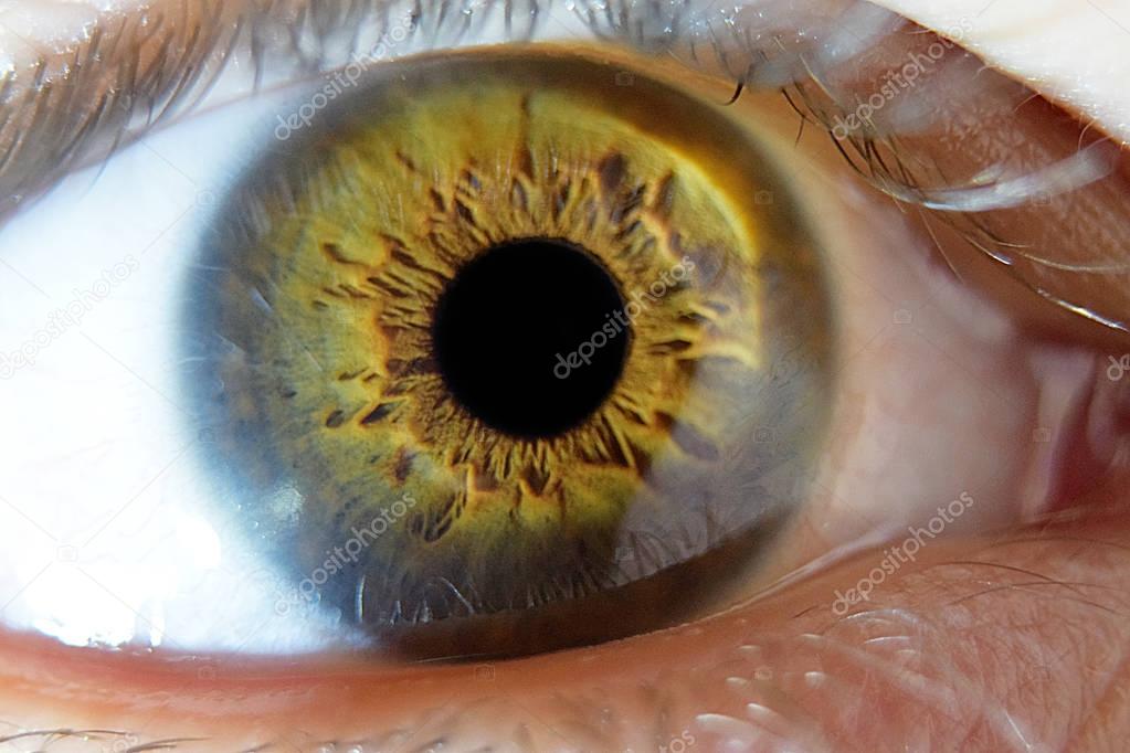 Extreme closeup macro on human male eye