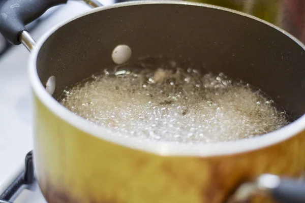 Alimentation friture dans l'huile végétale — Photo