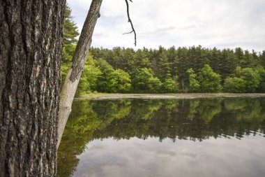 Huzurlu tatlı su Gölü