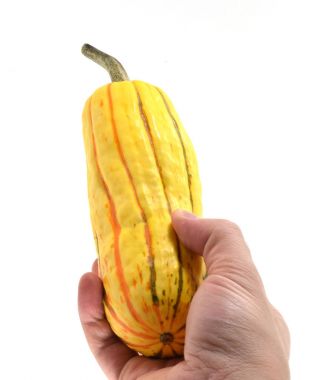 Taze organik delicata squash
