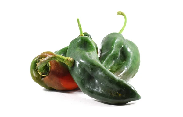 Verse biologische Mexicaanse poblano pepers — Stockfoto