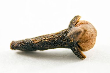 Tek kuru karanfil (Syzygium aromaticum, Aile Myrtaceae) aşırı closeup Maluku Adaları, Indonesia yerel