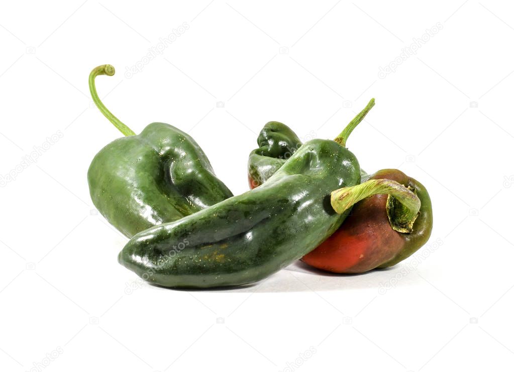Fresh organic Mexican poblano peppers (capsicum anuum) - isolated