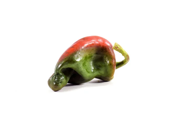 Fresh Single Organic Mexican Poblano Pepper Capsicum Anuum Isolated — Stock Photo, Image