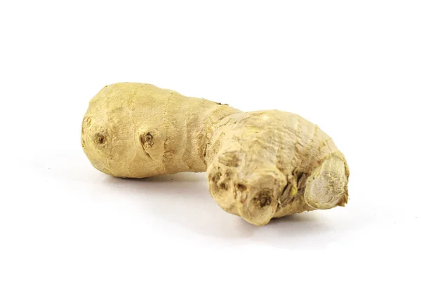 Fresh Organic Ginger Rhizome Root Skin Isolated — Stock Photo, Image