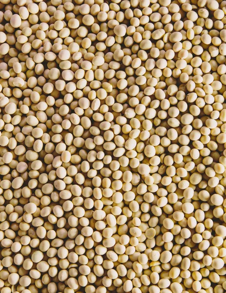 Soy beans background — Stock Photo, Image