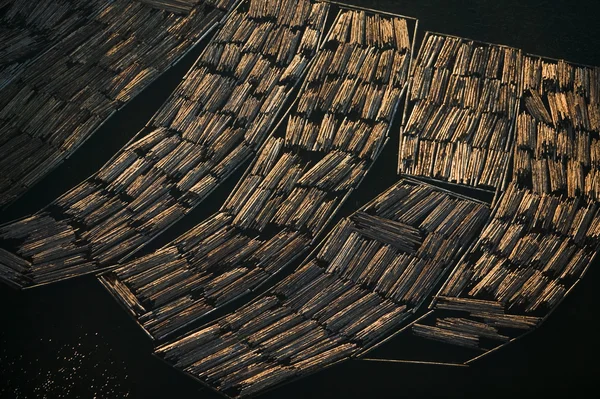 Logboeken in afwachting van exporteren — Stockfoto