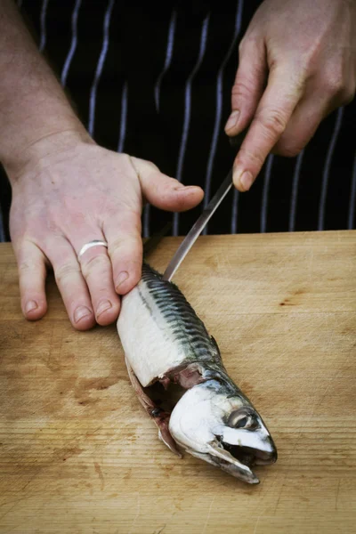 Chef filetear una caballa fresca . — Foto de Stock