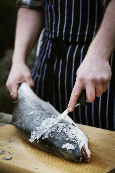 Chef-kok schalen van een verse vis. — Stockfoto
