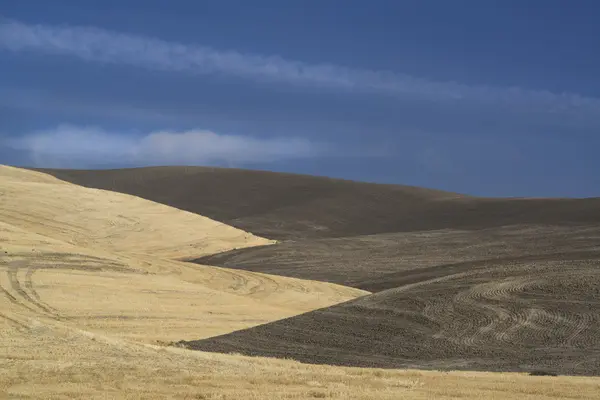 Contours of farmed land in Palouse county — Stock Photo, Image